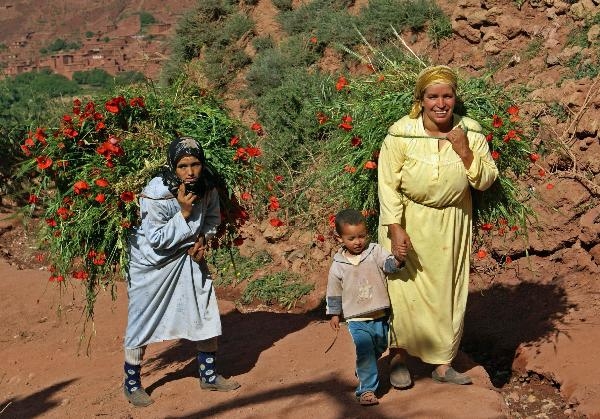 Cap Monde "Maroc Berbère"