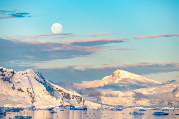 Document-Terre - Antarctique, aux confins du monde