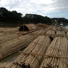 Document-Terre - Le périple du bois pauvre (Bangladesh)