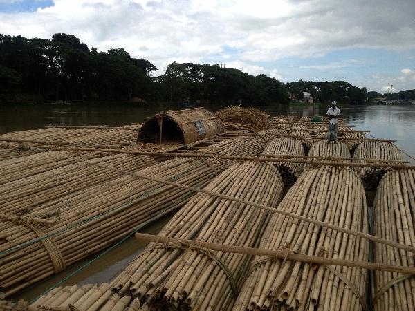 Document-Terre - Le périple du bois pauvre (Bangladesh)