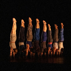 Le Complexe de l'autruche