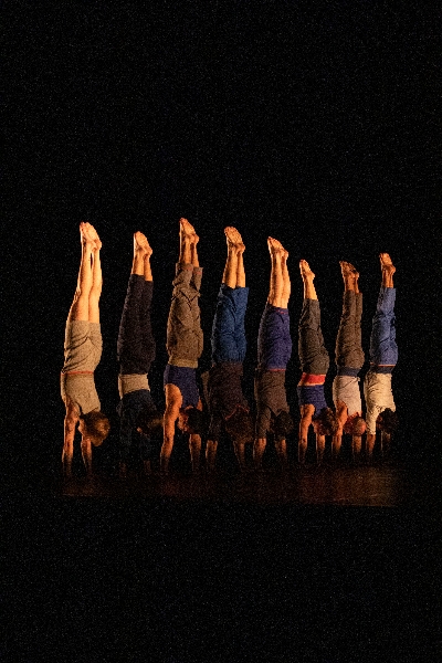 Le Complexe de l'autruche